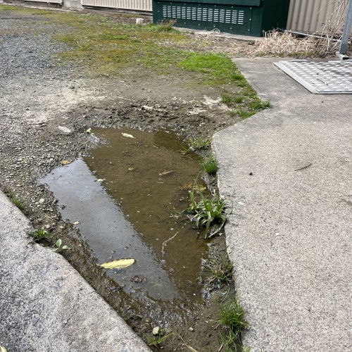 Market St Putaruru PDS photo