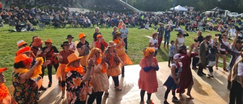 Wairarapa Music in the Country 2026 photo