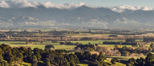 Wairarapa Walking Festival 2025: Cavelands Walk photo
