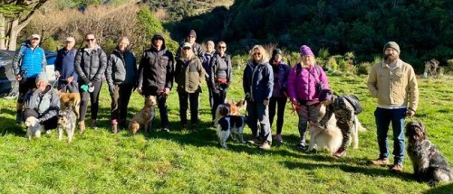 Wairarapa Walking Festival 2025: Duntulm Farm Dog Walk photo