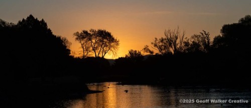 Wairarapa Walking Festival 2025: Photo Walks with Walker - Henley AM photo