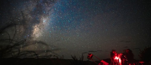 Wairarapa Walking Festival 2025: Walk in the Dark Carterton photo