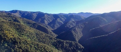 Wairarapa Walking Festival 2025: Poetry at Pigeon Bush photo