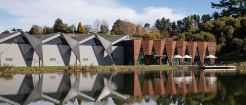 Wairarapa Walking Festival 2025: Gladstone Wine and Olive Walk photo