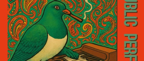 Boogaloo Kererū photo
