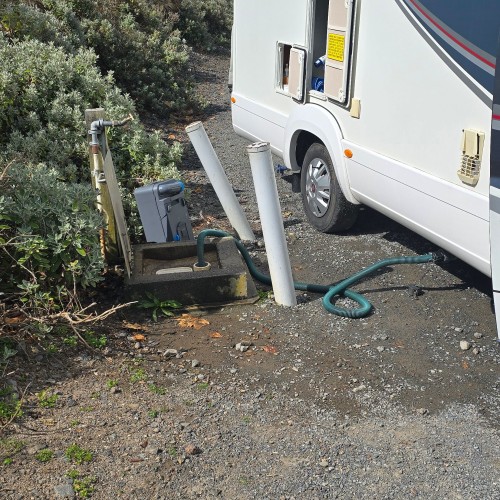 Lower Waikato Esplanade PDS photo