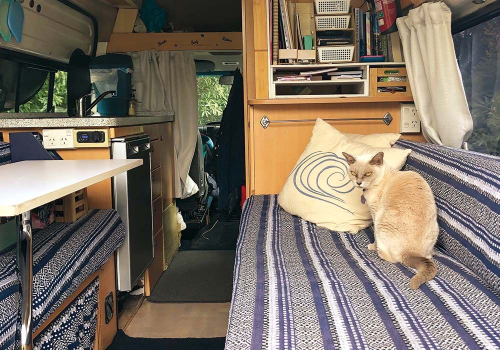 TAS GETTING READY FOR A SLEEP IN ONE OF HER FAVOURITE SPOTS