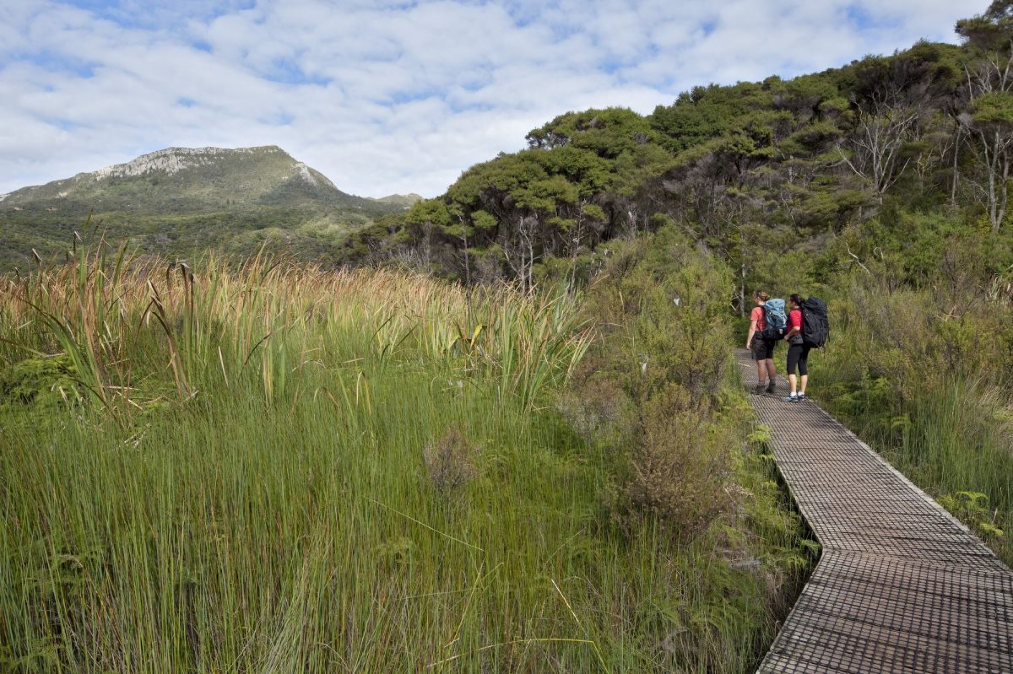 Kaitoke Hot Springs Track