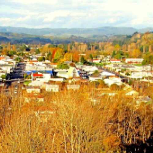 taumarunui1-2x.png