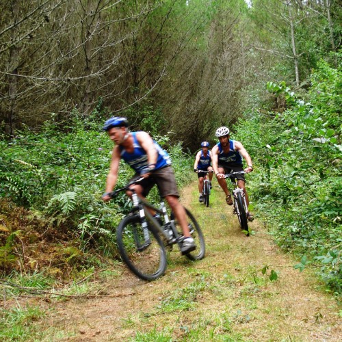 the area has many great cycling trails