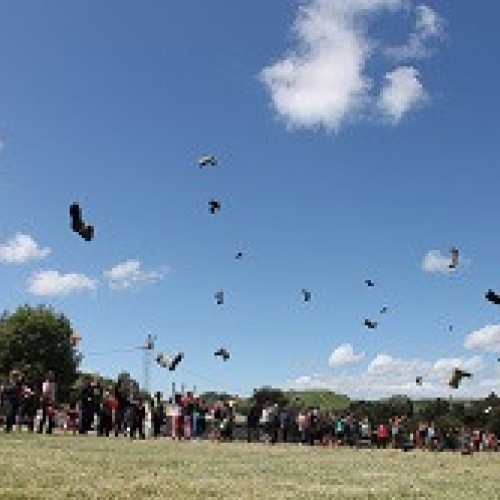 Mass Gumboot Throwing