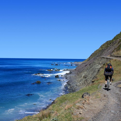 the rugged coastline of Wharekauhau