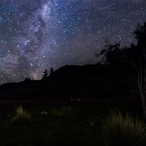 Waihi Gorge Camping Ground