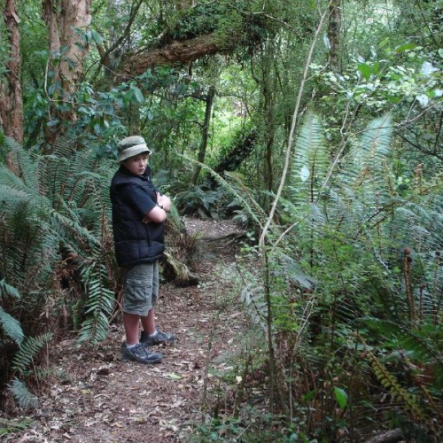 'Oliver Kelceys Bush'