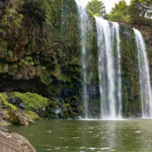 otuihau-whangarei-falls11541371018-2x.jpg