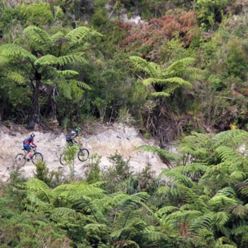 Parihaka-Mountain-Biking-Park-4-2x.jpg