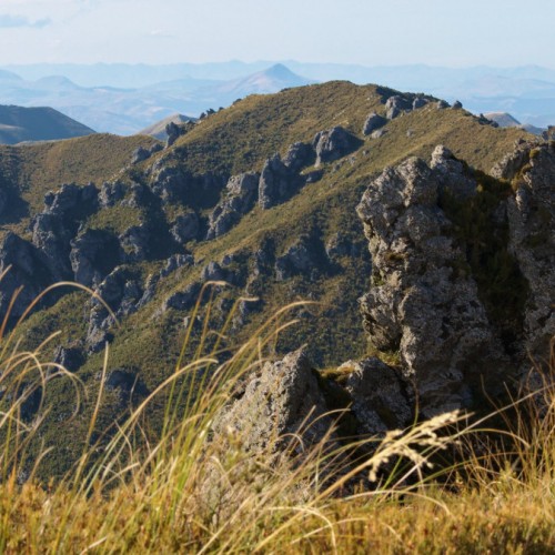 'Cats Teeth Rocks on Rocky Ridge'