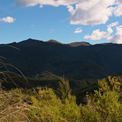 'Skyline of Silver Peaks'