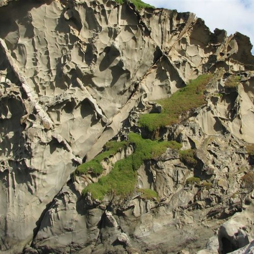 'Honeycomb rock, Wairarapa'