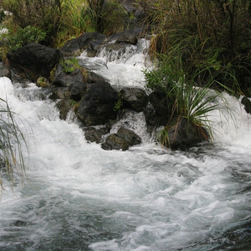 'Clear water from Lake Tarawera'