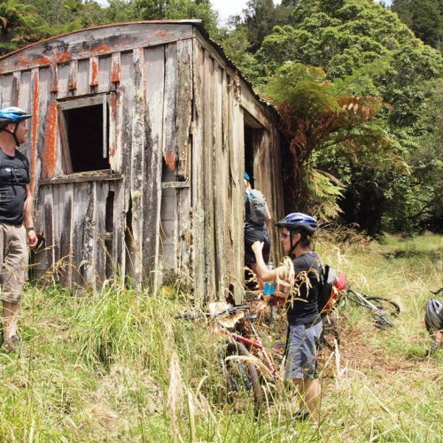 cyclists-timber-trail-old-shed-12001-2x.jpg