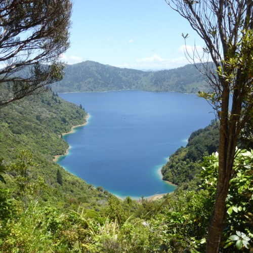 'Queen Charlotte Track, NZ'