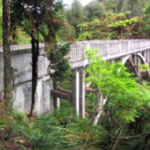 'The Bridge to Nowhere on the Mangapurua Track, Whanganui National Park, New Zealand'