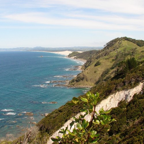'Mangawhai Heads'