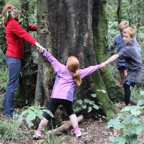 'On the Tawa Loop Track'
