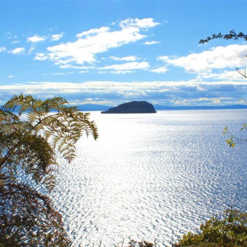 'The view of Motutaiko Island from the lookout point above Moututere Bay'