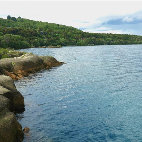 'Looking back on Rangatira Point from the flat volcanic rocks at Whakamoenga Point'