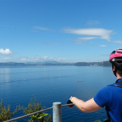 View of the Western Bays from the Waihaha section of the trail'