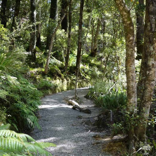 'Track up to Rocky Lookout'
