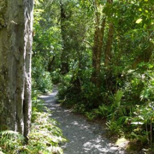 'Donnelly Flat Loop Walk'