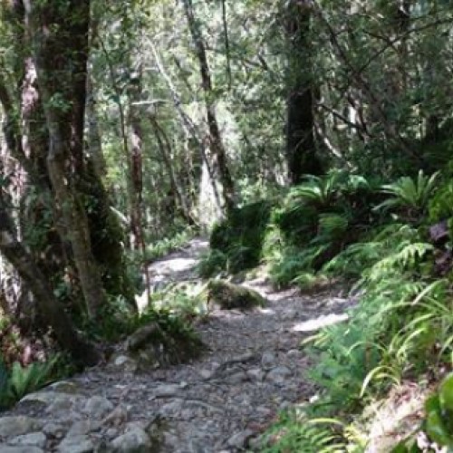 'Donnelly Flat Loop Walk'