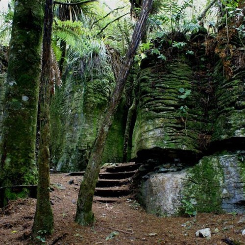 'Waitomo Walkway