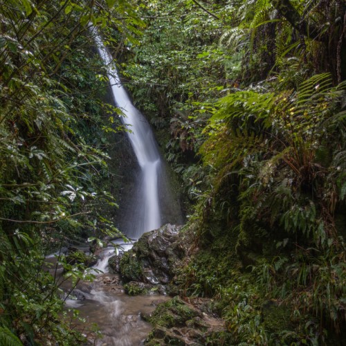 'Aclands Falls, Peel Forest'