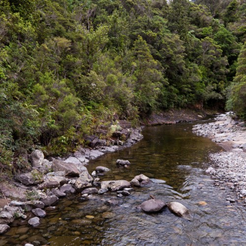 'Kauaeranga River'