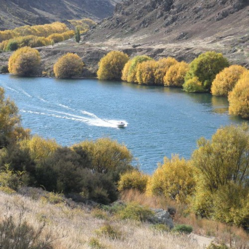 Roxburgh Gorge Trail
