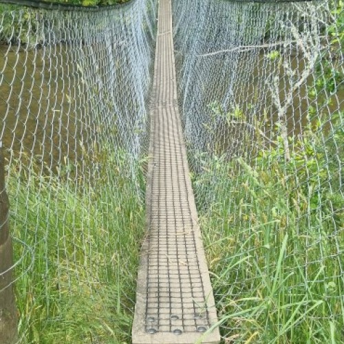 Suspension bridge