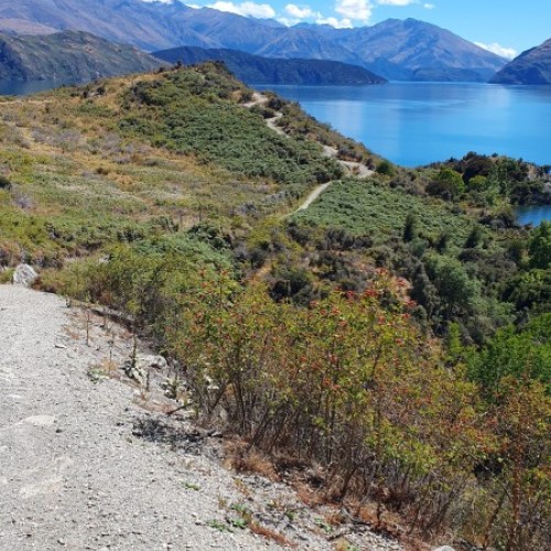 Not a rail trail track