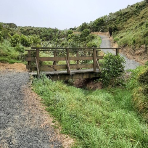 Steep section down to Onehaga Bay