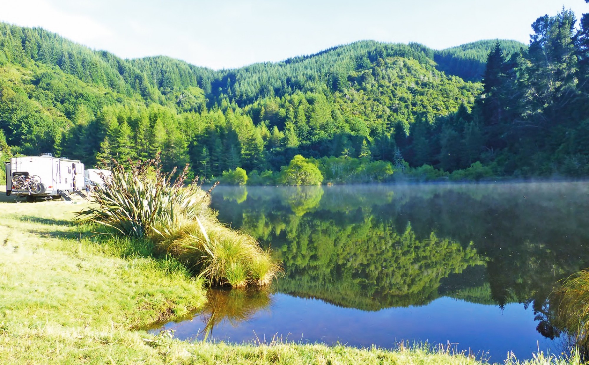 The Hidden Treasures of Gabriel’s Gully Reserve