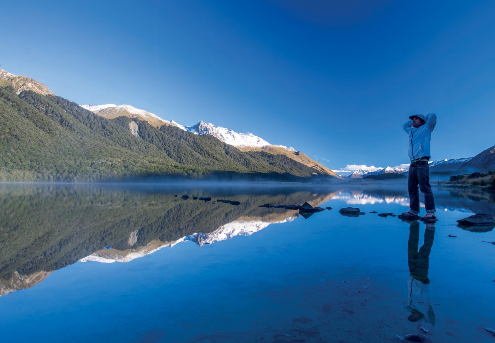 64 DOC campsites are now dog-friendly