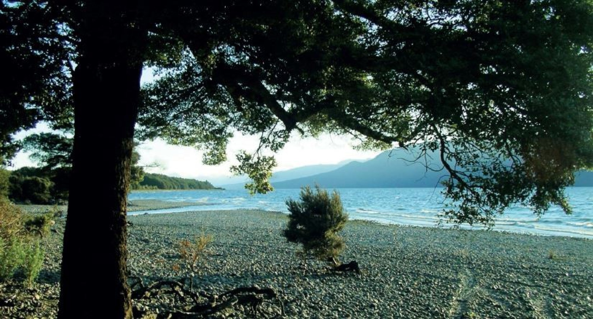 The call of the south