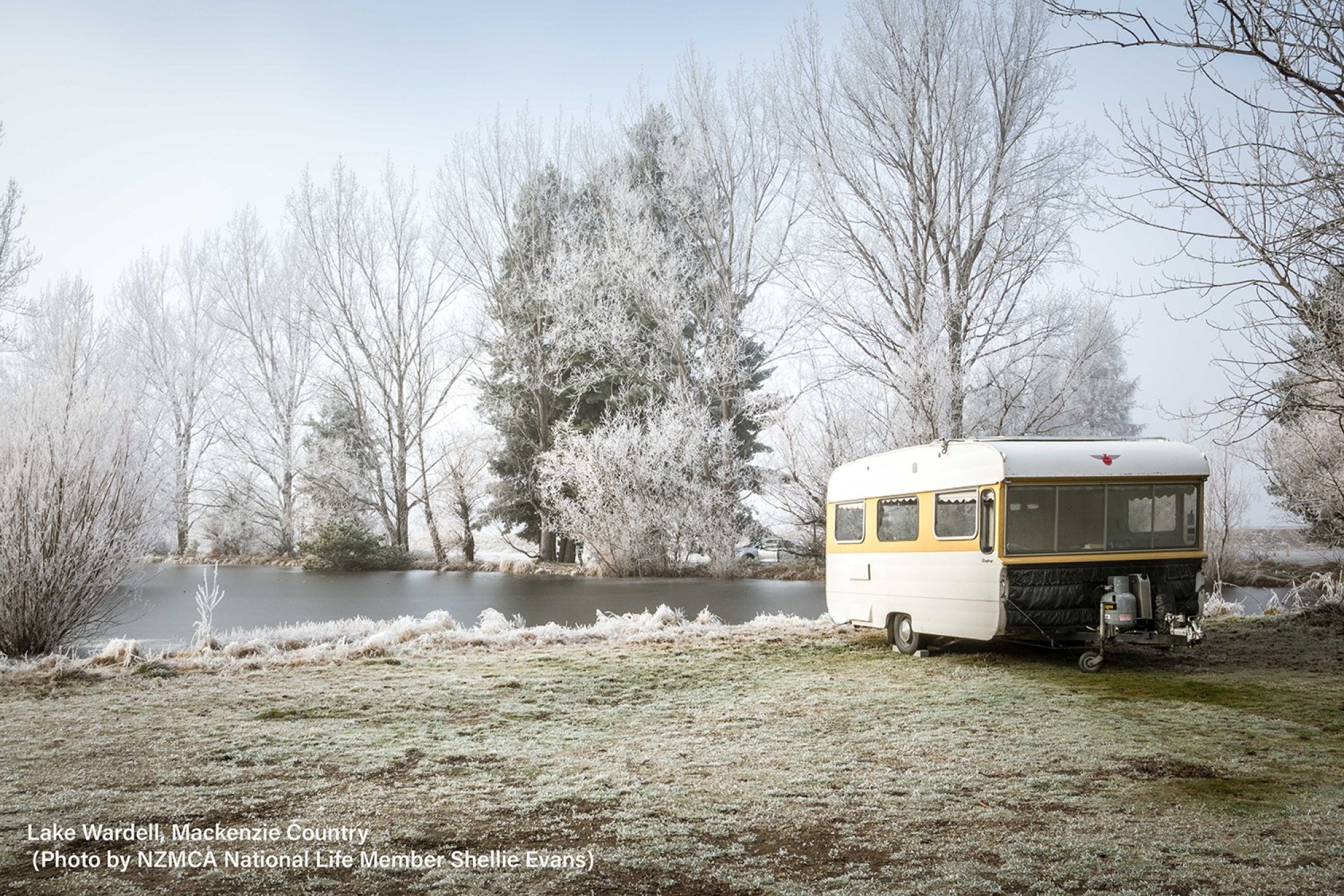 In Case You Missed It: NZMCA Board Report June 2025