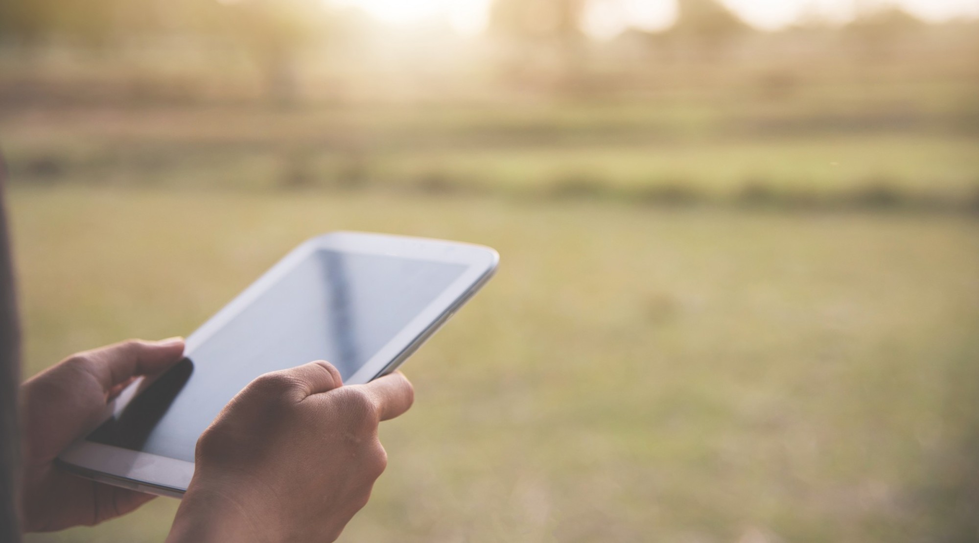 NZMCA Area & SIG Newsletters