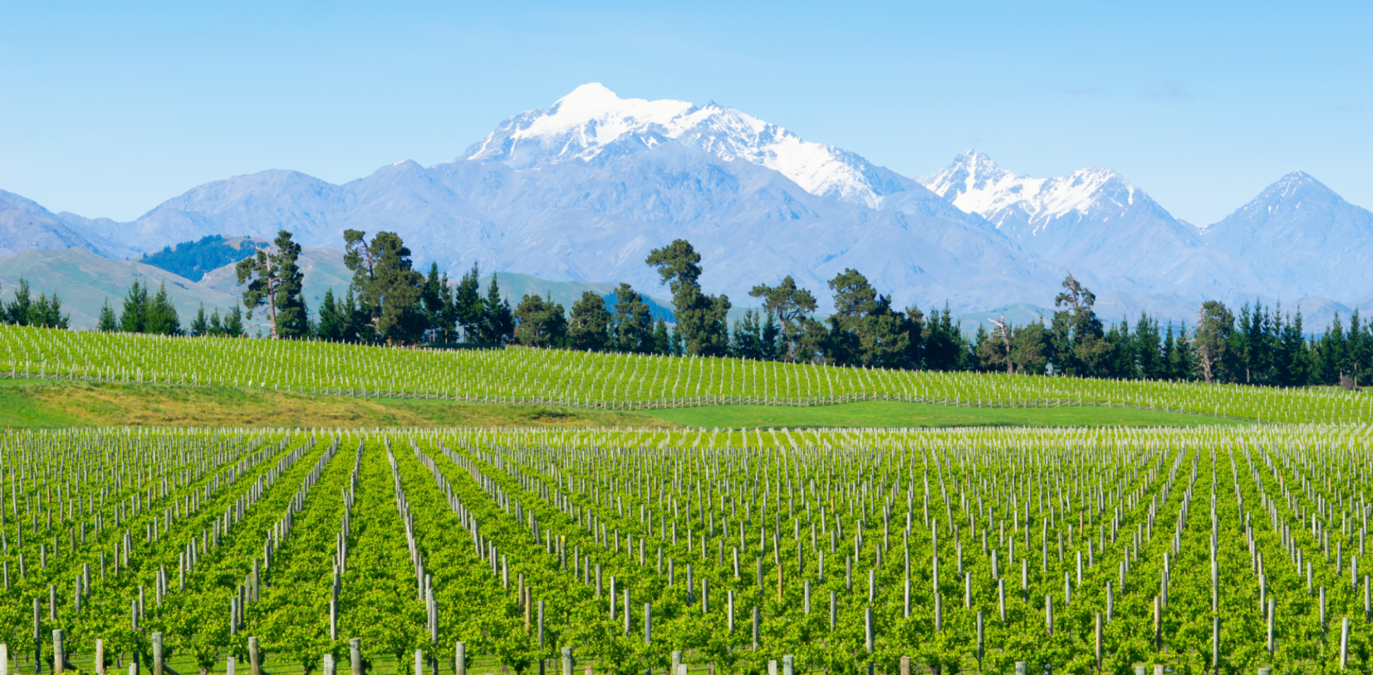 Board to consider challenge to new Marlborough bylaw