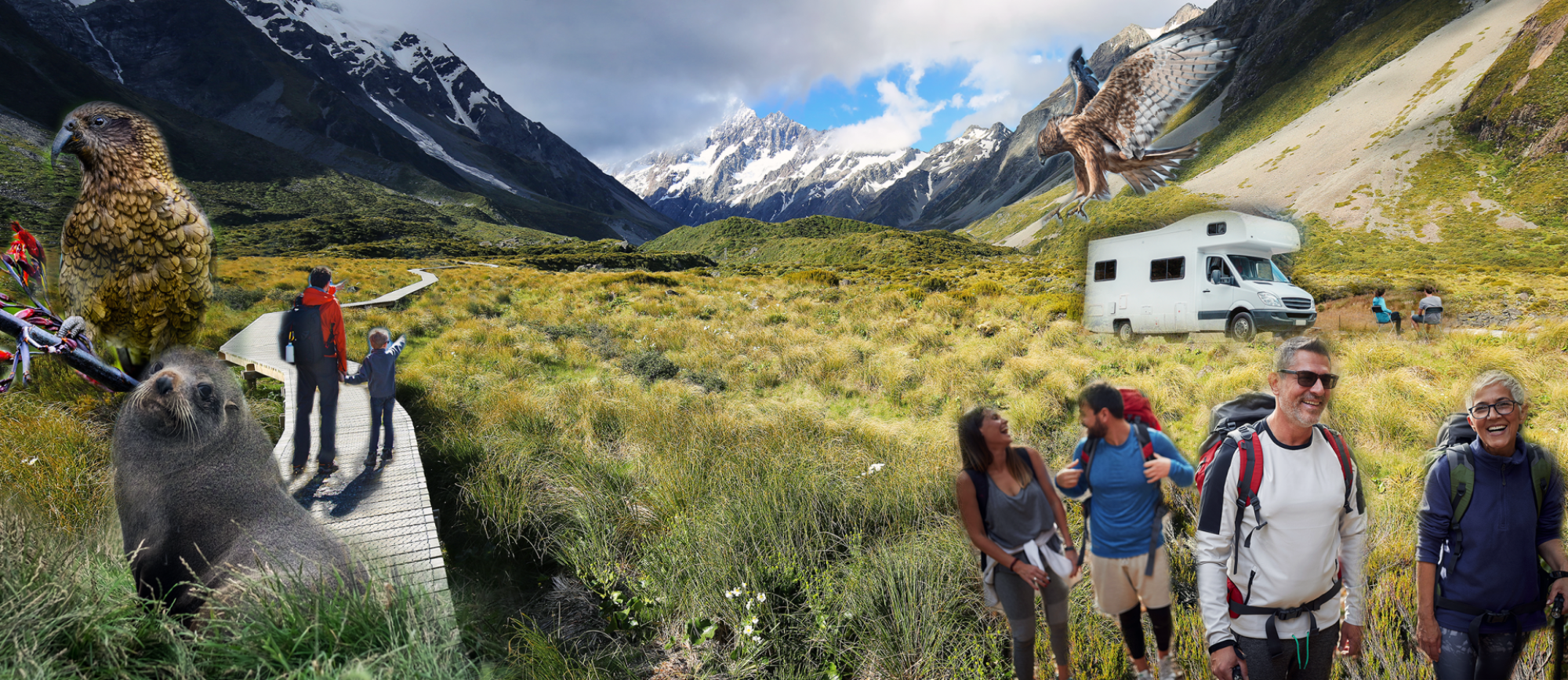 Department of Conservation (DOC) Pass