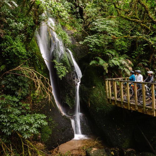 Mountain_20Biking_20in_20Taupo